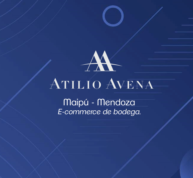 diseño web y tienda virtual